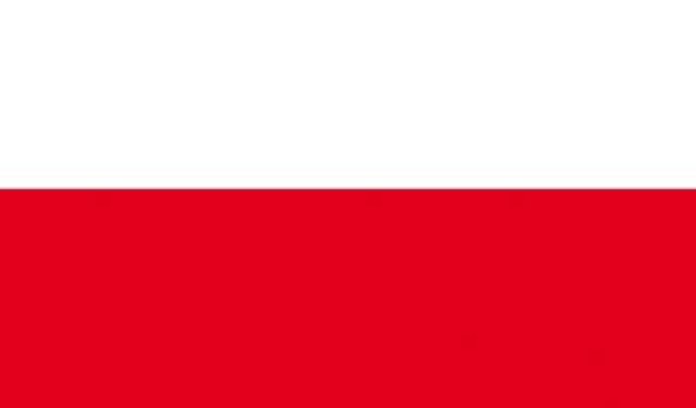 Vlag Polen (TE326)
