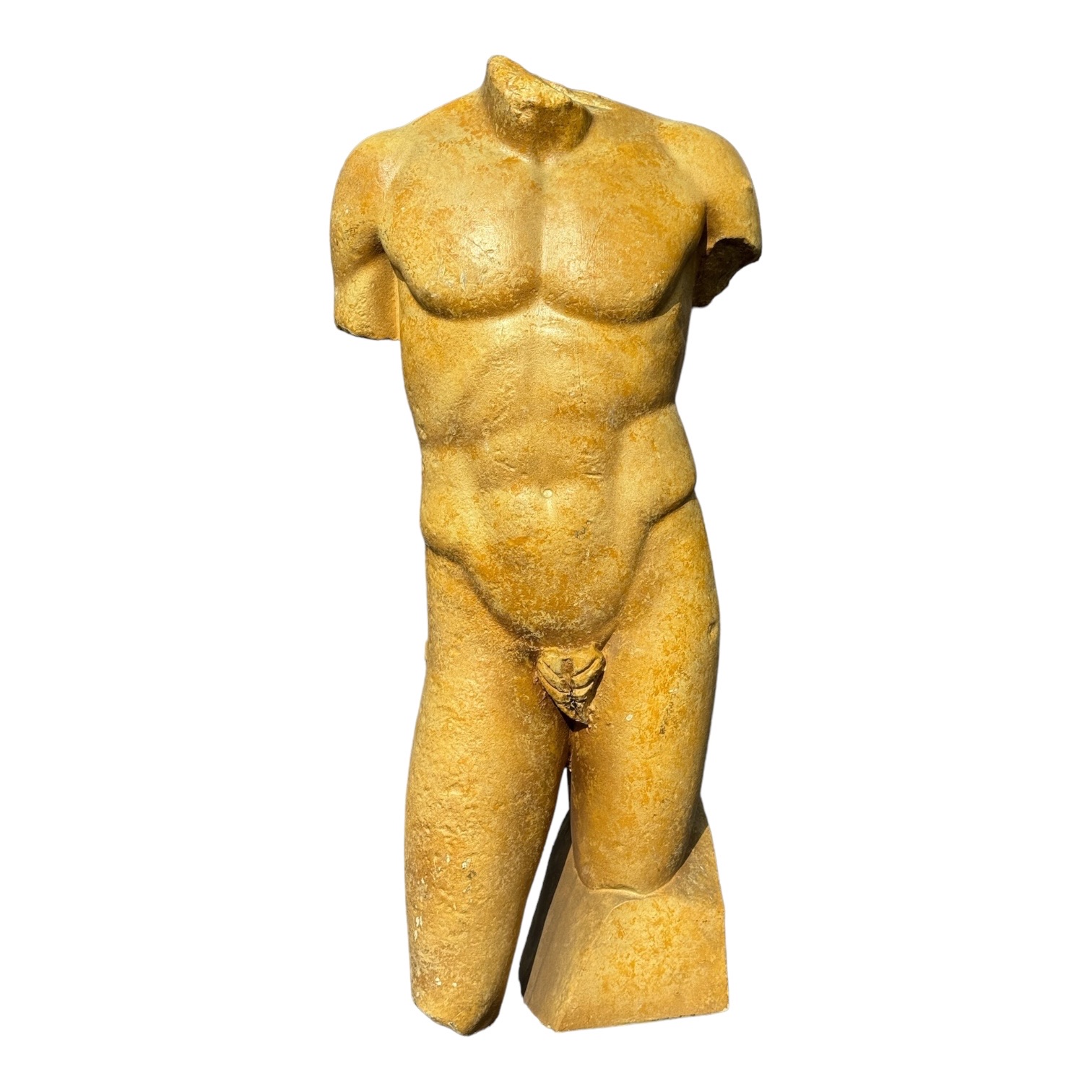 Torso (D683)