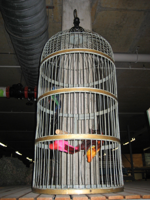 Papegaaienkooi (D2106)