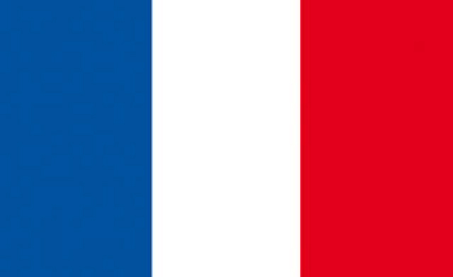 Vlag Frankrijk (TE53)